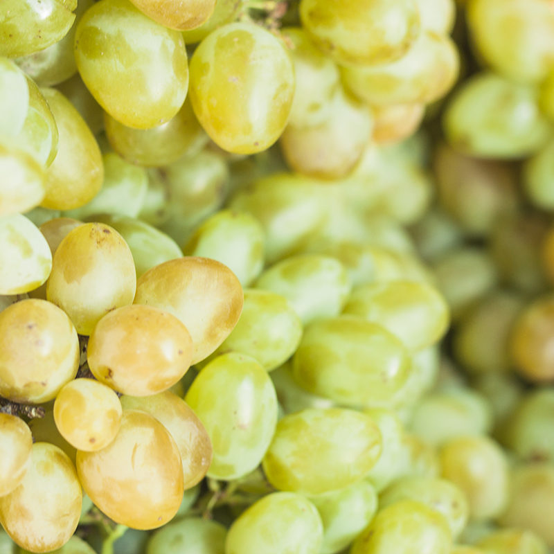 10 CURIOSIDADES DE LA UVA ALBILLO MAYOR BODEGAS ZAPATA 01